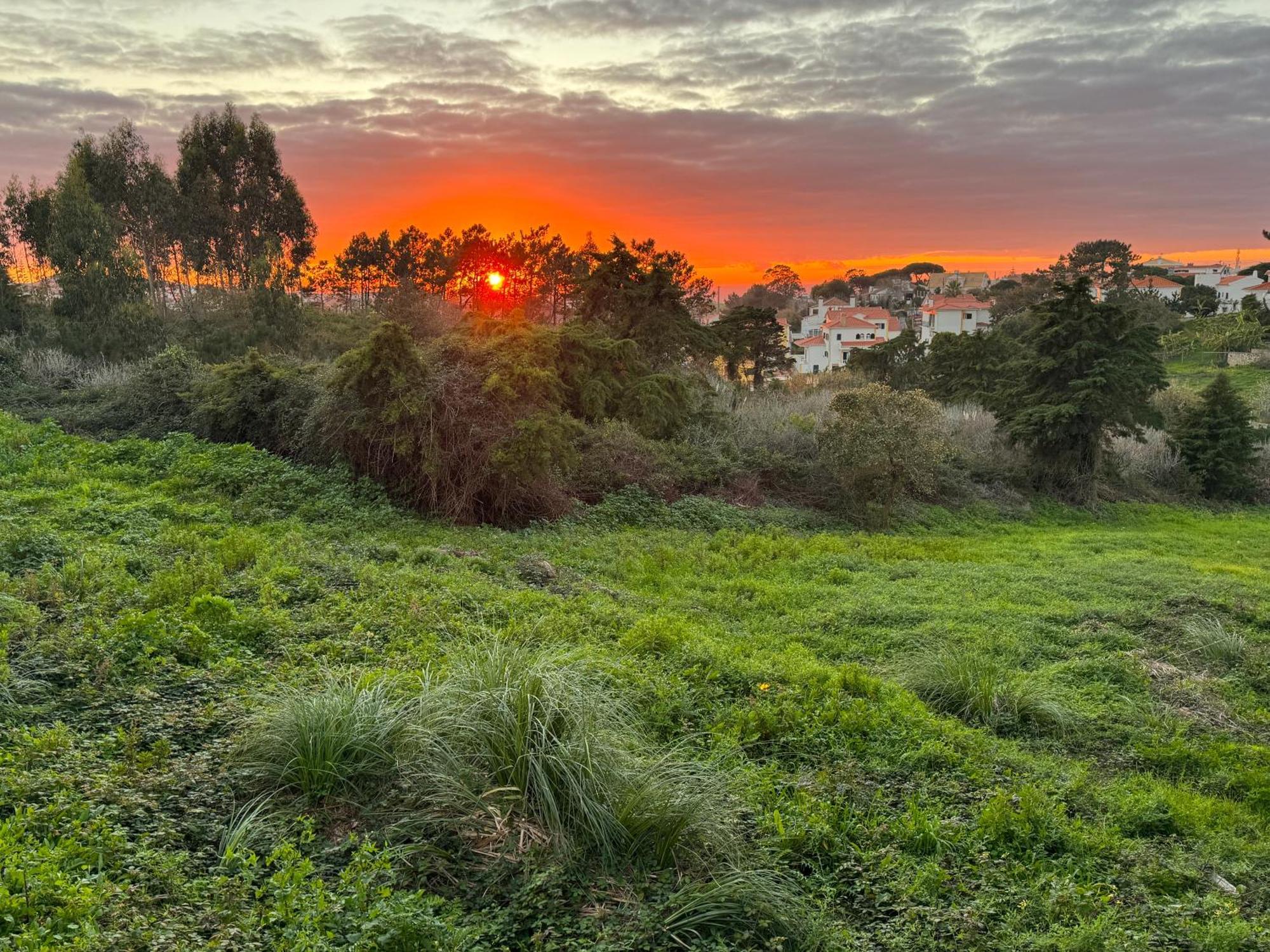 Boutique Hotel - O House Ericeira Hills Buitenkant foto